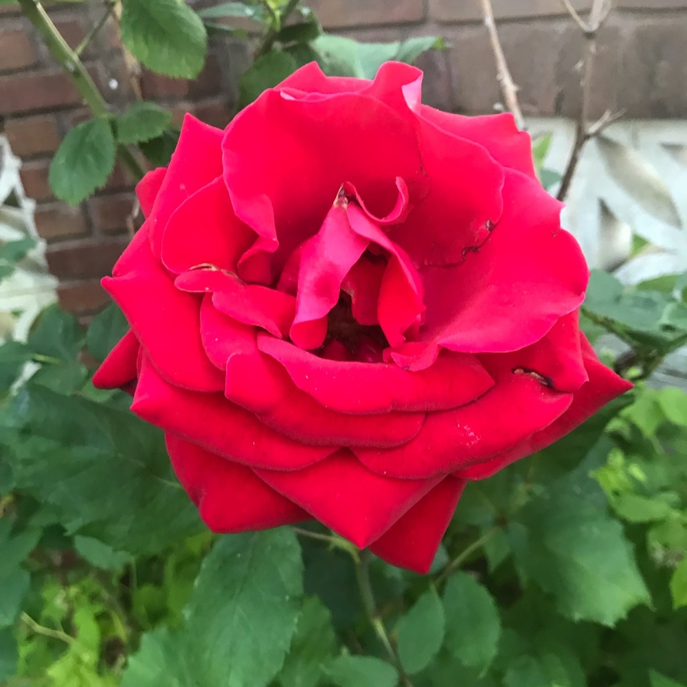 Meet your Posher, Svetlana